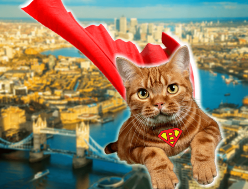 Bob, el gato londinense que salvó a un hombre al borde del suicidio